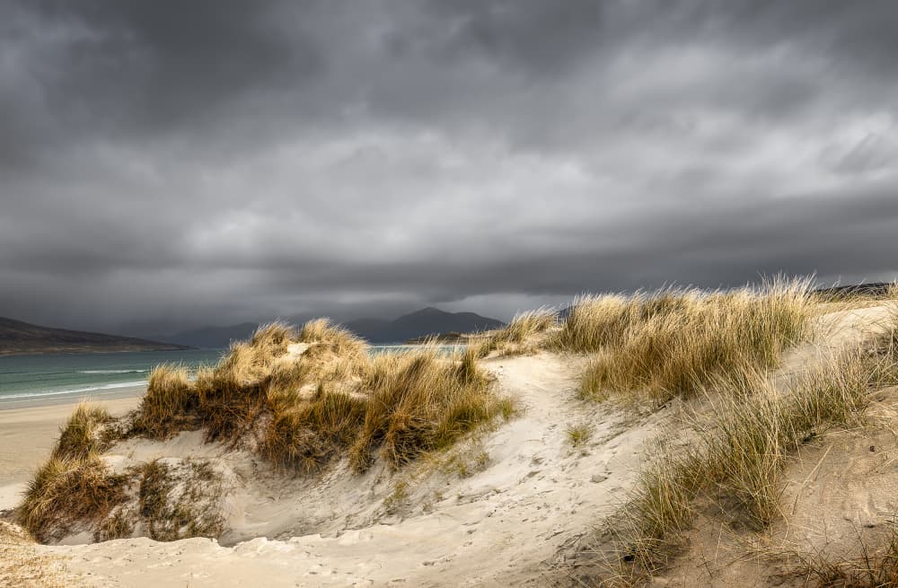 Wild Coastal Dunes by Peter Paterson — canvas wall art