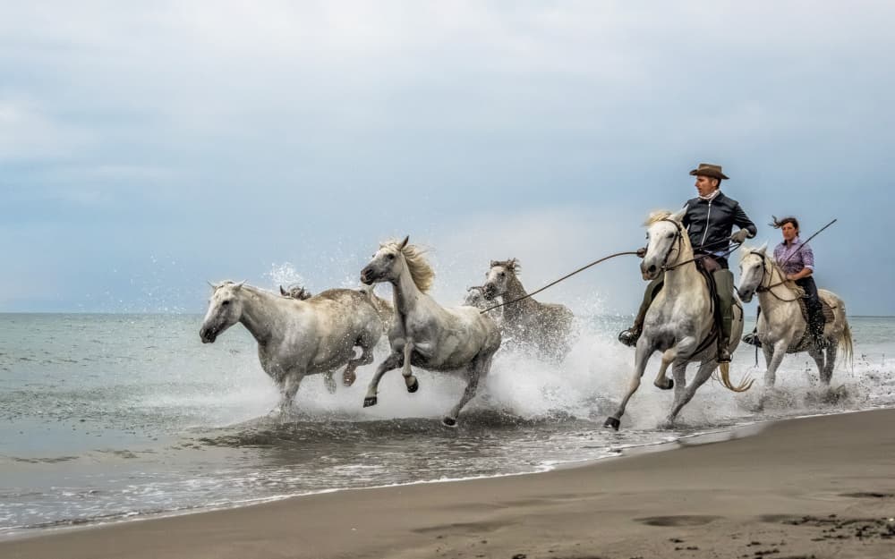 Galloping White Horses by Joško Šimic — canvas wall art