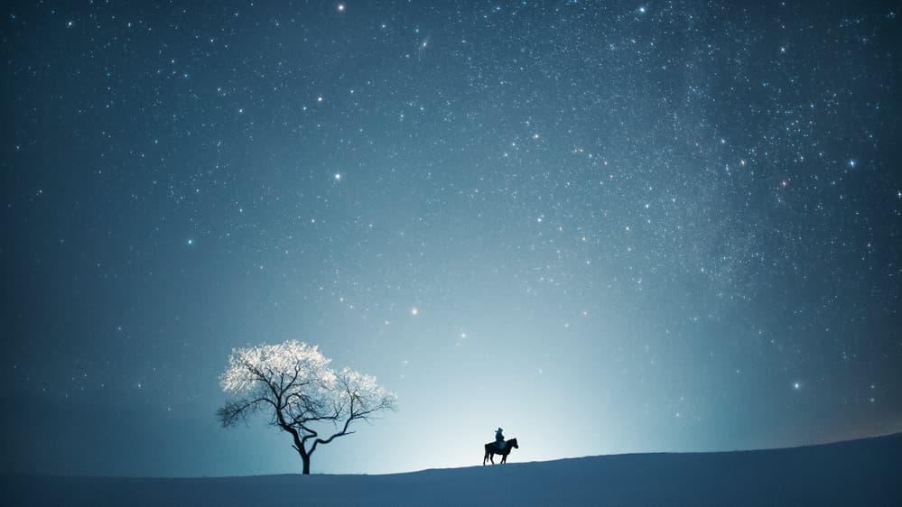 Lone Rider Under Stars by Bingo Z — canvas wall art