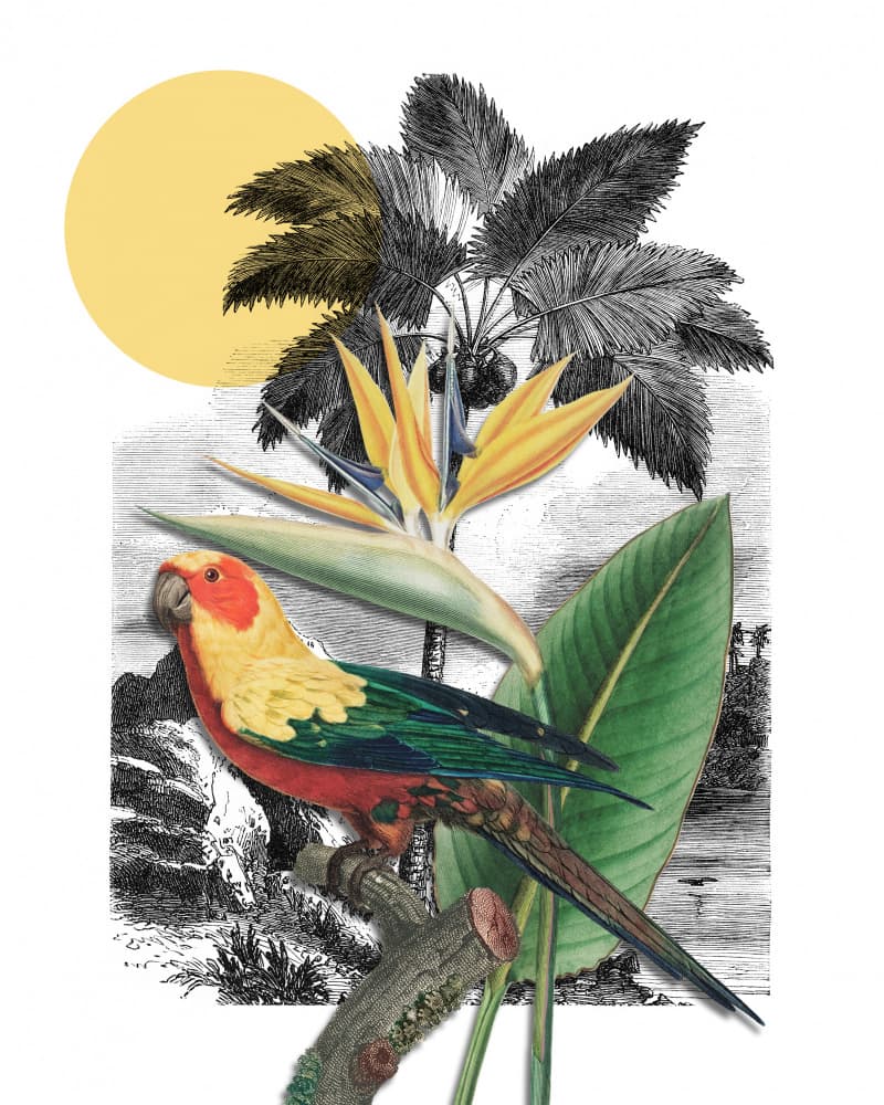 Tropical Parrot Paradise by Marja van den Hurk — canvas wall art