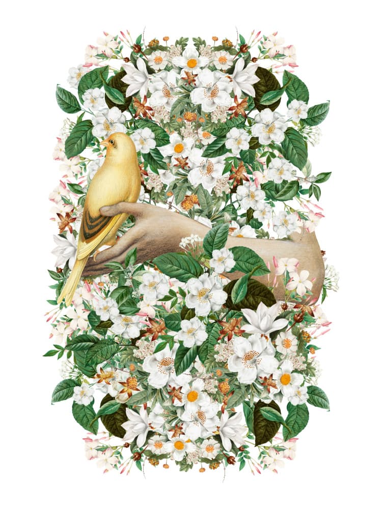 Yellow Bird and Blossoms by Marja van den Hurk — canvas wall art