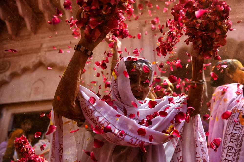 Falling Petals Celebration by Avishek Das — canvas wall art