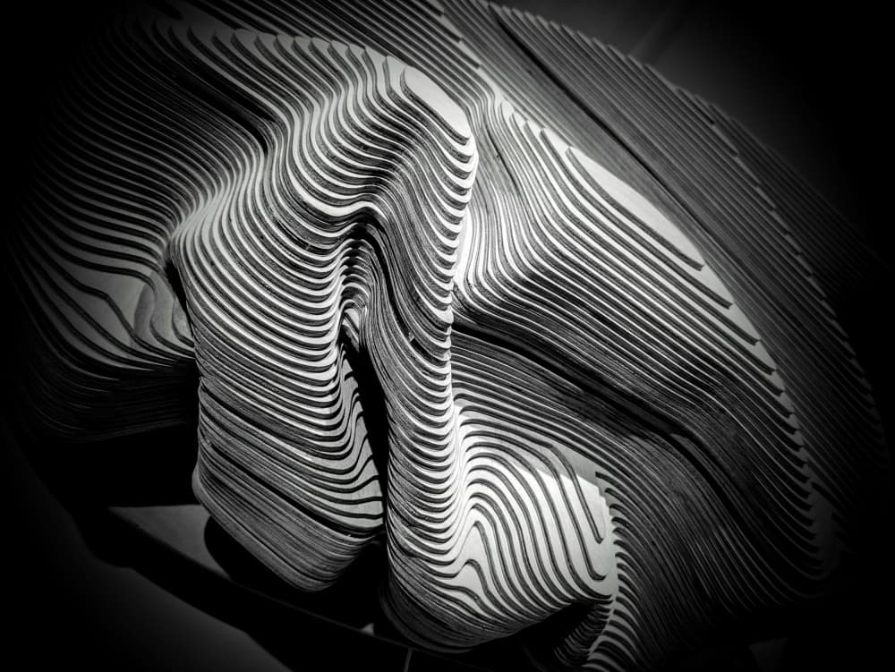 Dynamic Layered Curves by Elizabeth Allen — canvas wall art