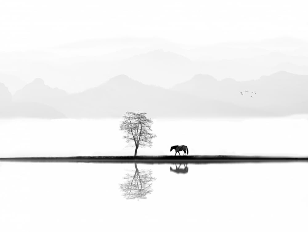 Minimalist Horse Reflection by Ivan Huang — canvas wall art