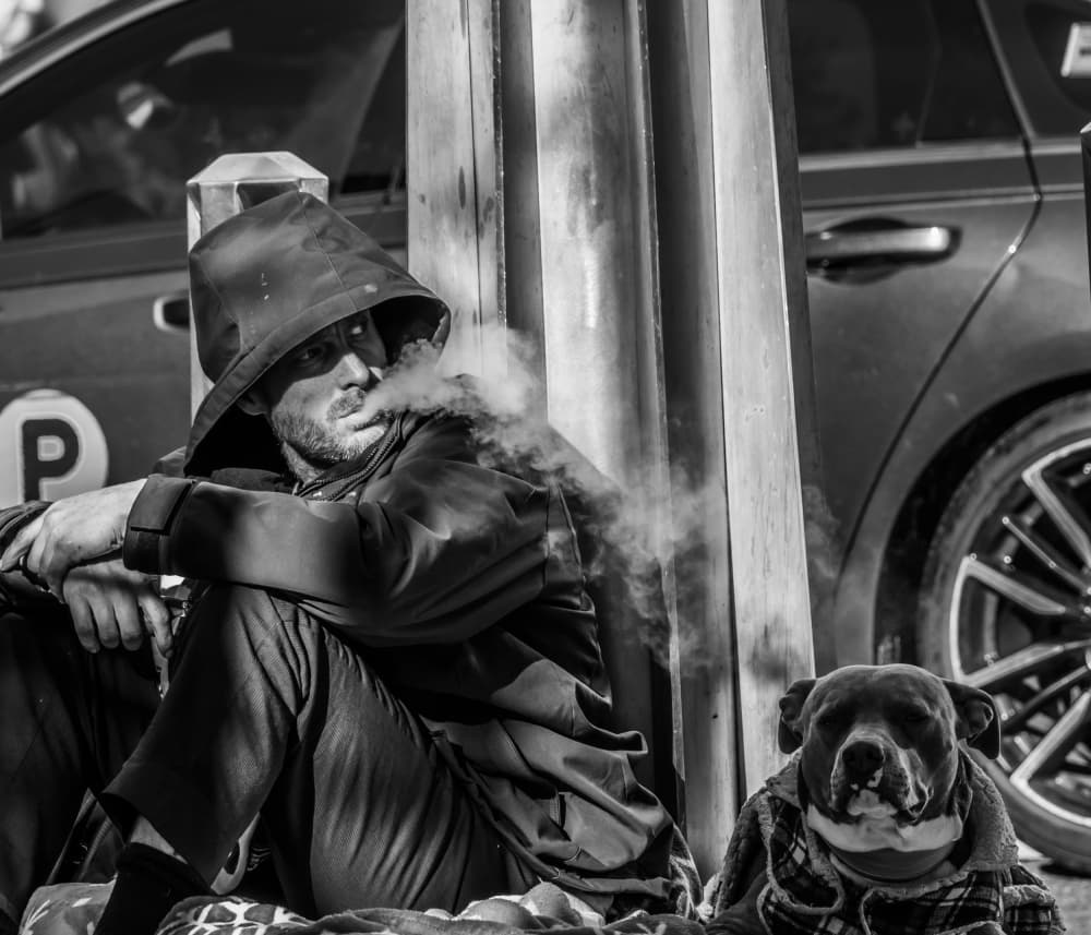 Man Vaping With Dog by Tong Zhang — canvas wall art
