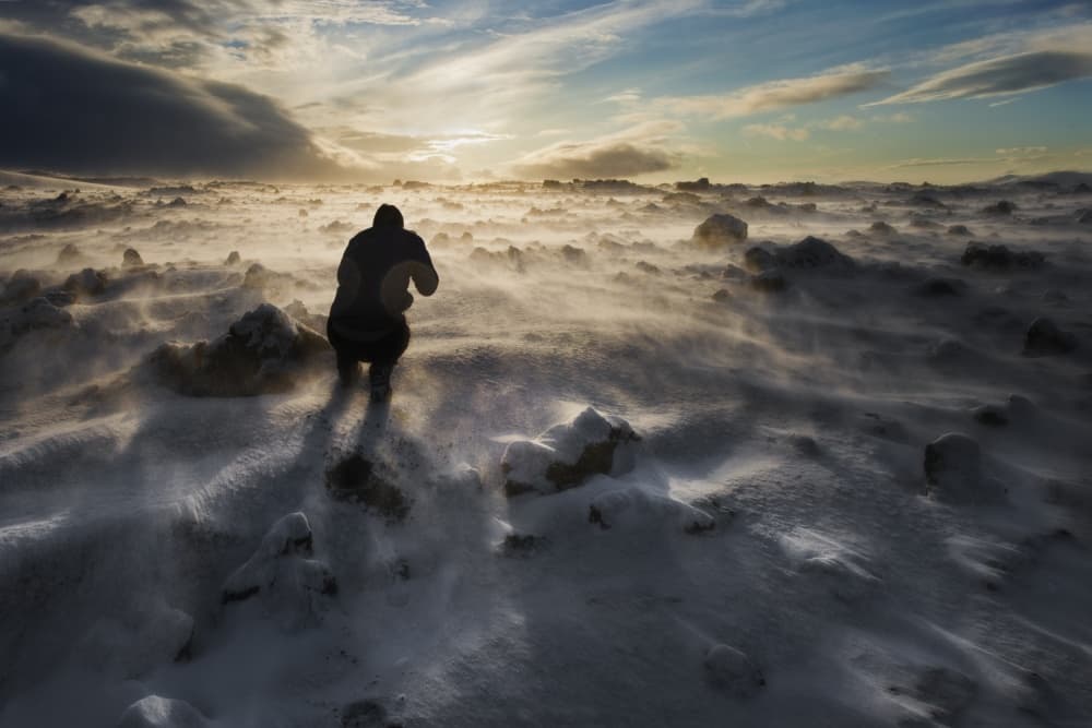 Golden Snow Wanderer by Liloni Luca — canvas wall art