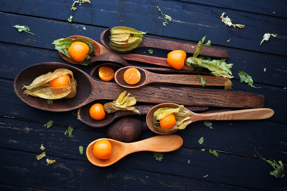 Vibrant Physalis Harvest by Karina Aleksandrova — canvas wall art