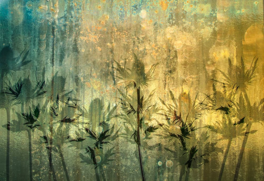 Misty Botanical Glow by Hilda van der Lee — canvas wall art