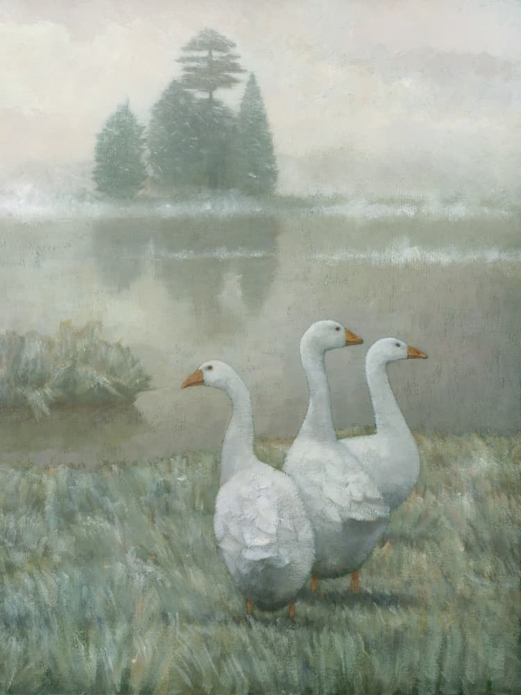 White Geese Morning Mist