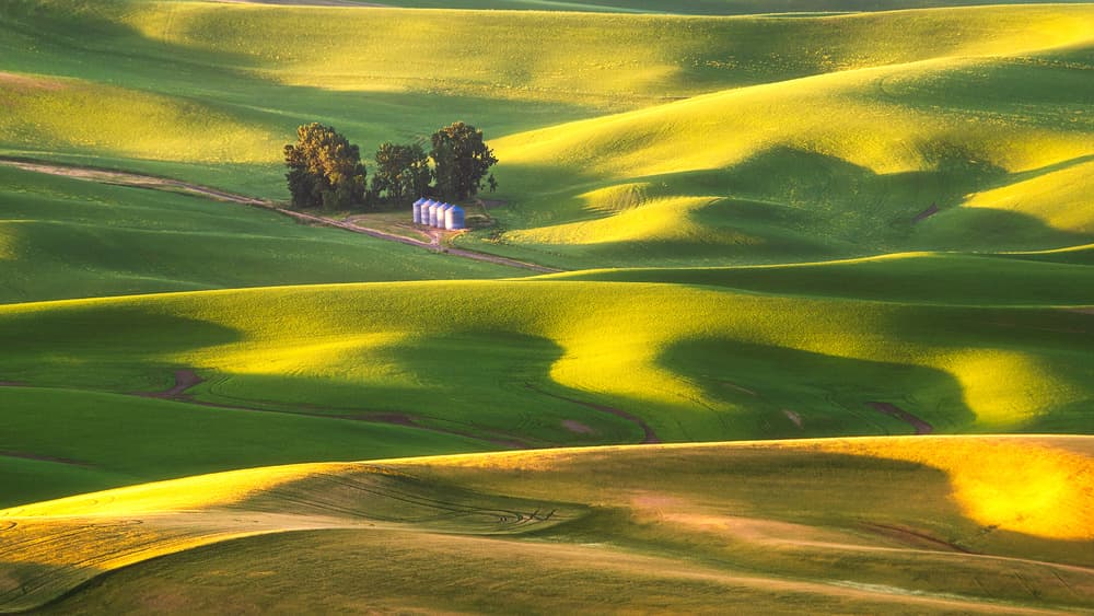 Golden Rolling Hills by Aidong Ning — canvas wall art