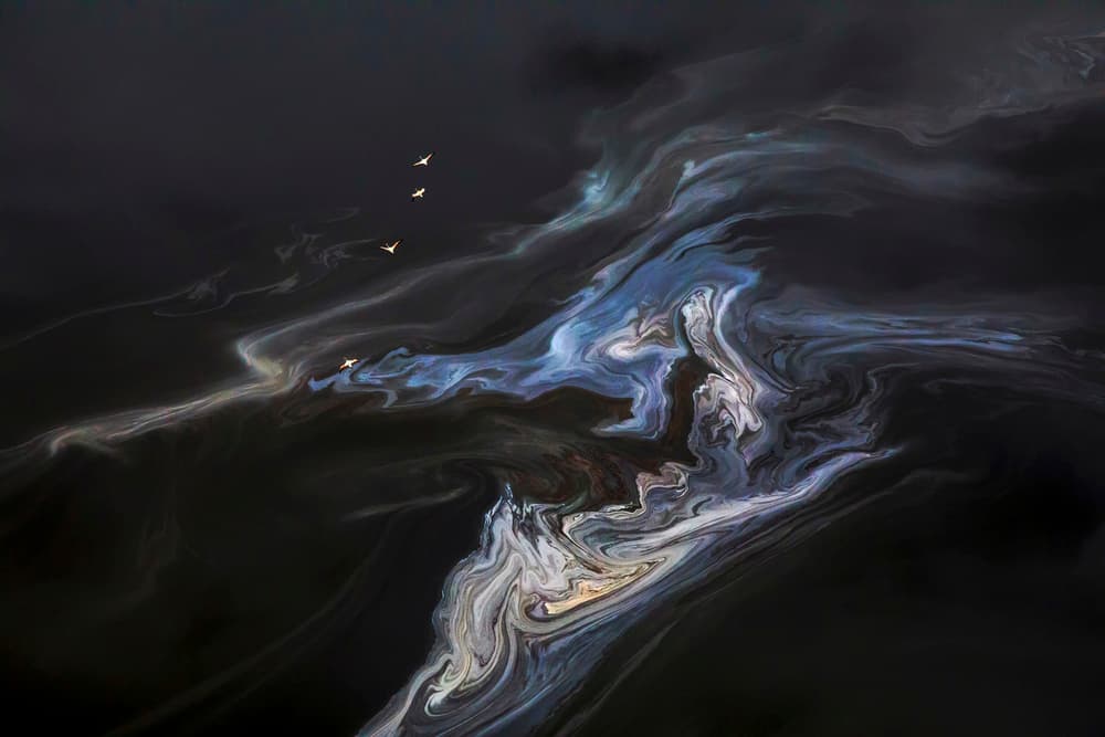 Aerial Abstract Birds by Raymond Ren Rong Liu — canvas wall art