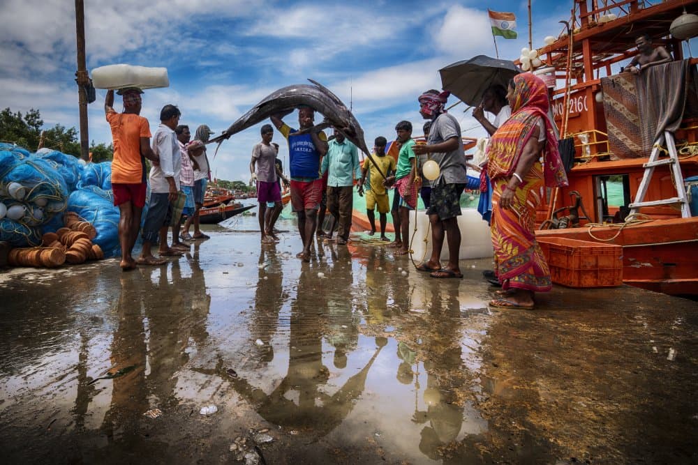 Bustling Indian Fish Market by JOYRAJ SAMANTA — canvas wall art