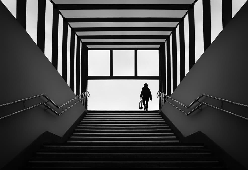 Ascending Towards Light by Samanta Krivec — canvas wall art
