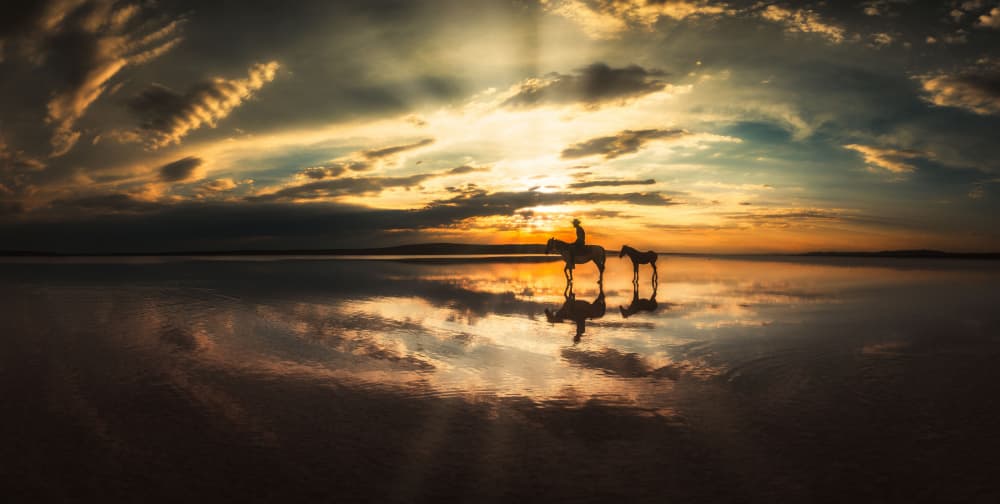 Sunset Horse Reflection by M. Emre Erol — canvas wall art