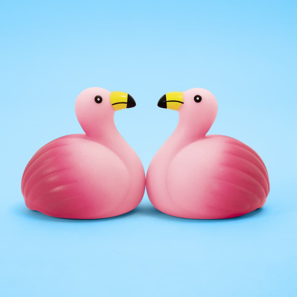 Pink Flamingo Pair by Julia Ramiro — canvas wall art