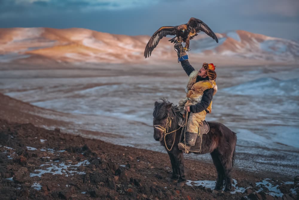 Golden Eagle Hunter on Horse by HIRAK BHATTACHARJEE — canvas wall art