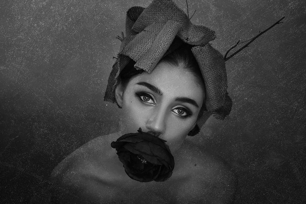Silent Rose Portrait by Anthony Skip — canvas wall art