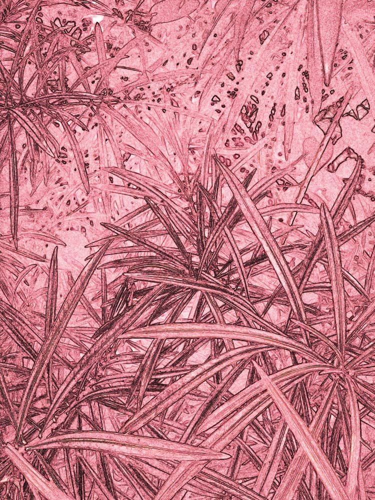 Abstract Pink Leaves by Santhosh ch — canvas wall art