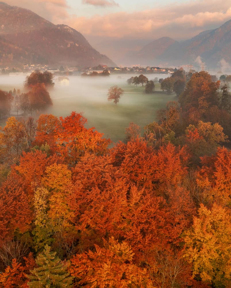 Vibrant Autumn Misty Valley by Ales Krivec — canvas wall art
