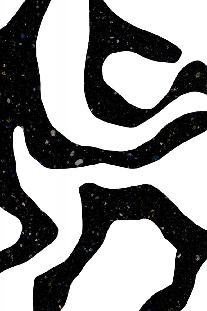Organic Black Forms with Speckled Patterns by uplusmestudio — canvas wall art