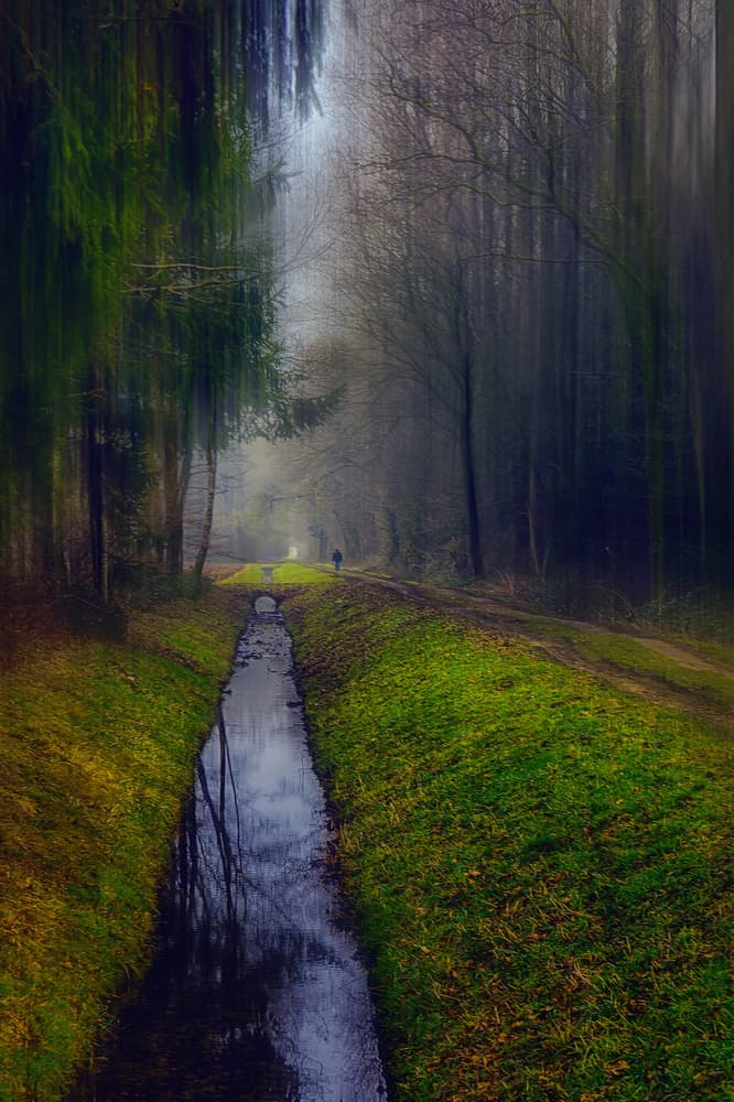 Misty Forest Path Walk by Stefan Kierek — canvas wall art