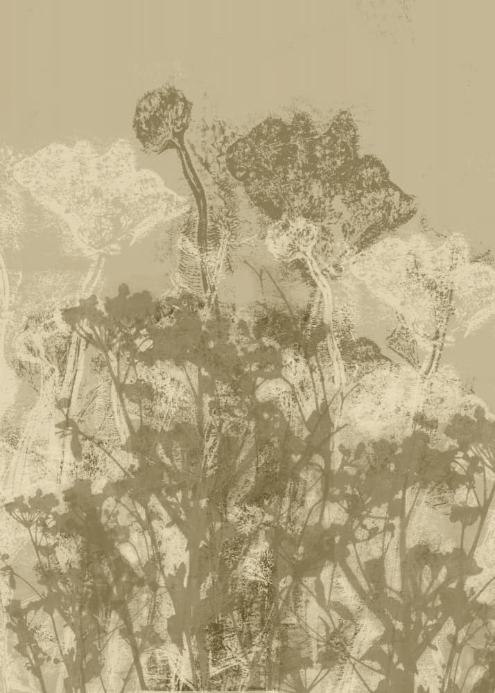 Textured Botanical Forms by Dina Dankers — canvas wall art