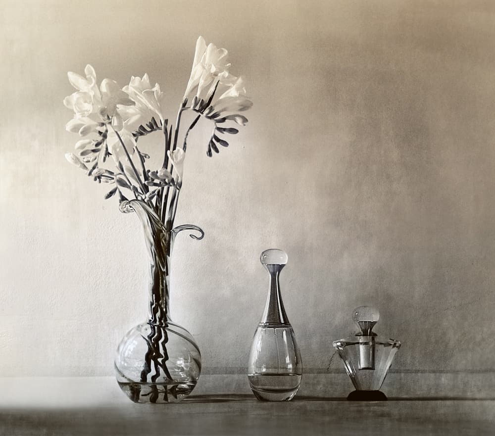 Elegant Flowers and Perfume by Elena Arjona — canvas wall art