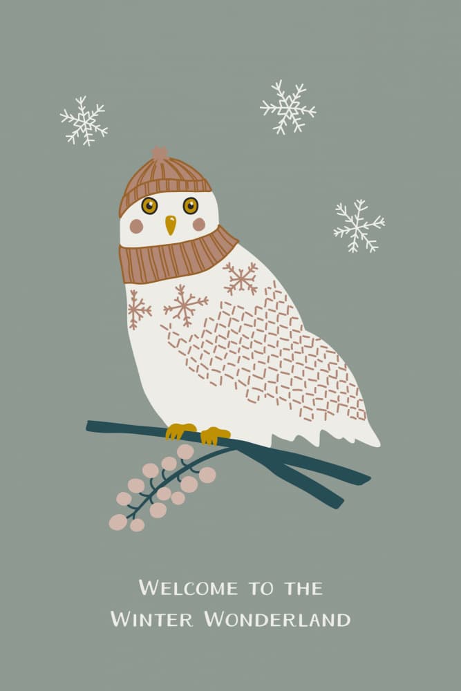 Cozy Winter Owl by Alexandra Weise — canvas wall art