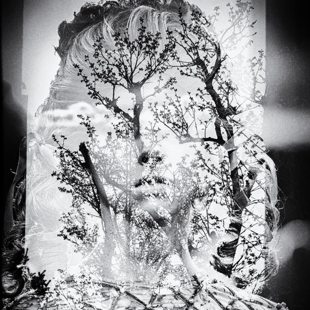 Ethereal Tree Portrait by Marchevca Bogdan — canvas wall art