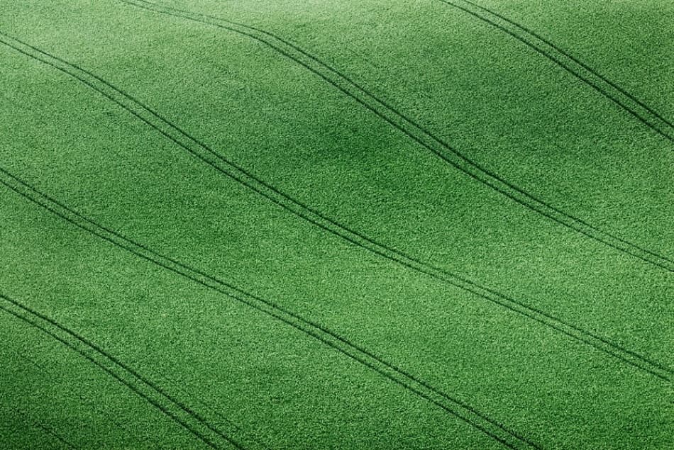 Green Field Patterns by Clive Collie — canvas wall art