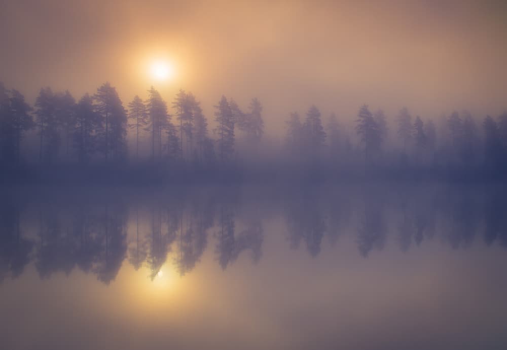Golden Sun Misty Lake by Andreas Christensen — canvas wall art