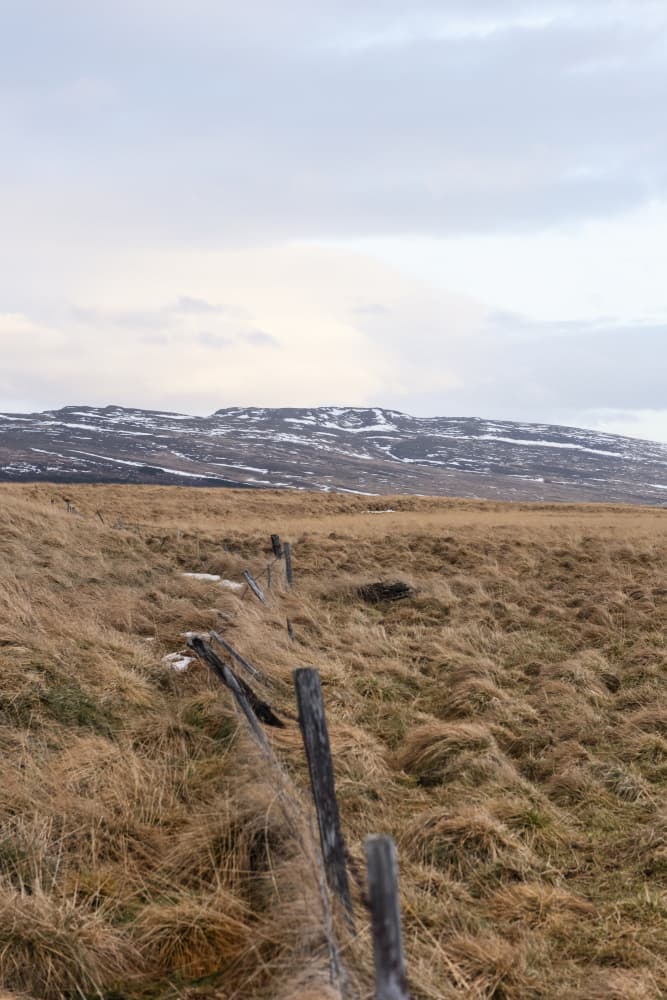 Winding Fence Winter Hills by Lynann Colligan — canvas wall art