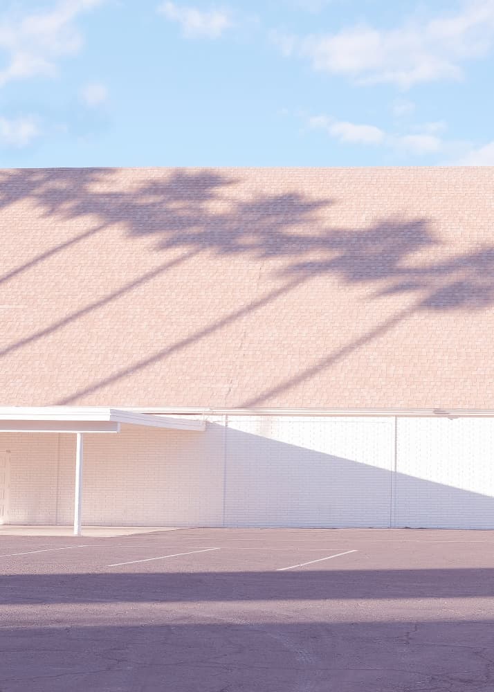 Sunny Palm Shadows by Pictufy Studio III — canvas wall art