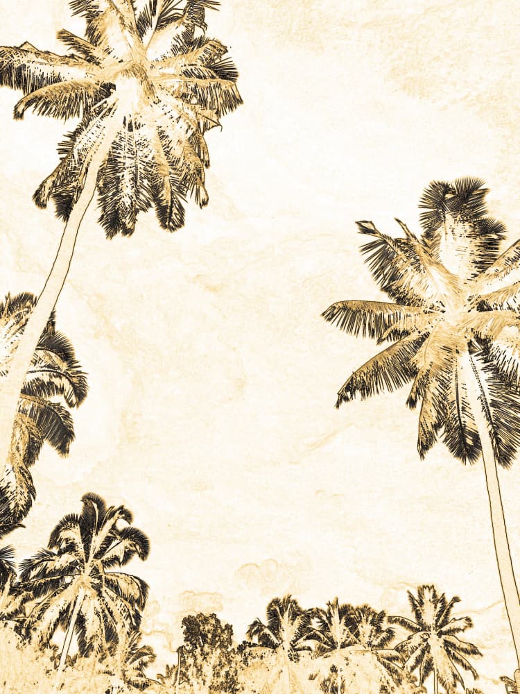 Vintage Palm Views by Santhosh ch — canvas wall art