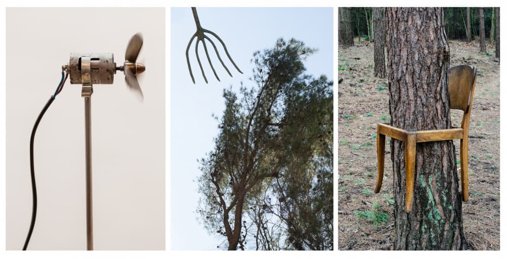 Surreal Objects In Nature by Michelle Degryse — canvas wall art