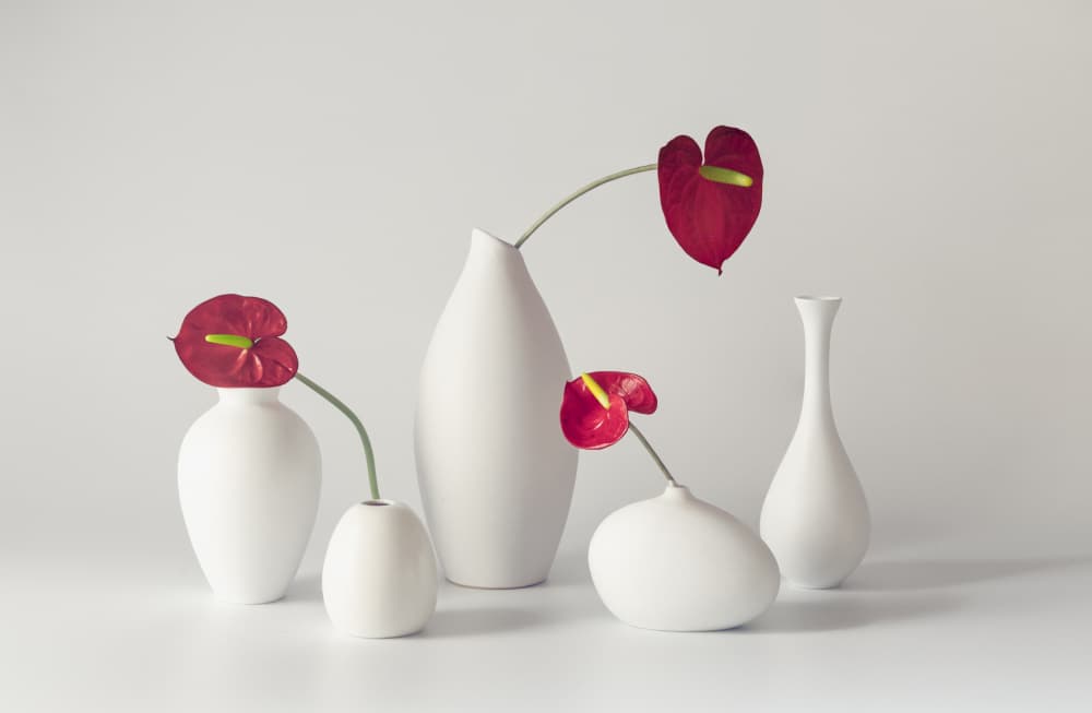 Serene Anthurium Arrangement by May G — canvas wall art