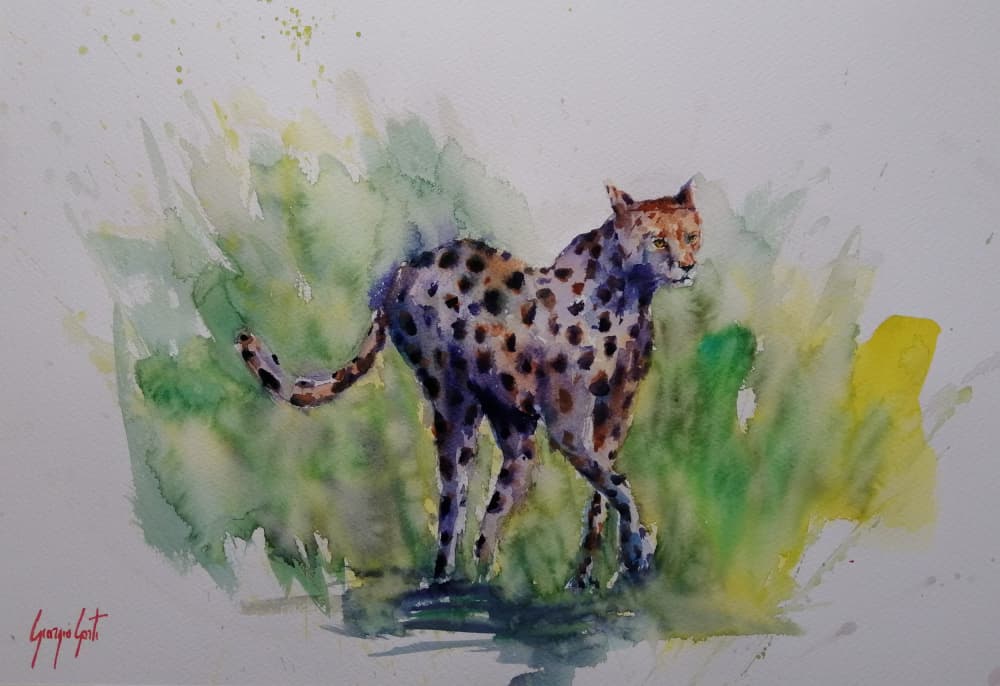 Watercolor Wild Cheetah by Giorgio Gosti — canvas wall art