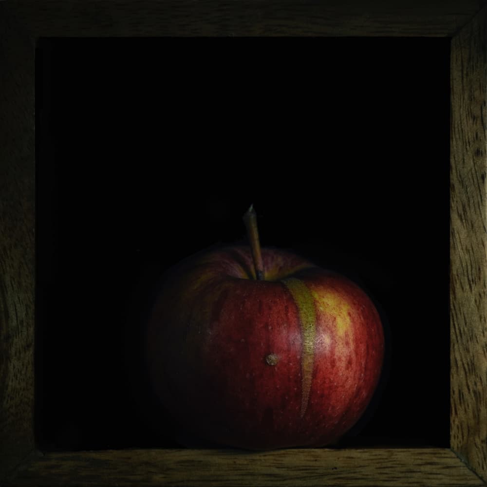Vibrant Apple Still Life by Lotte Grønkjær — canvas wall art