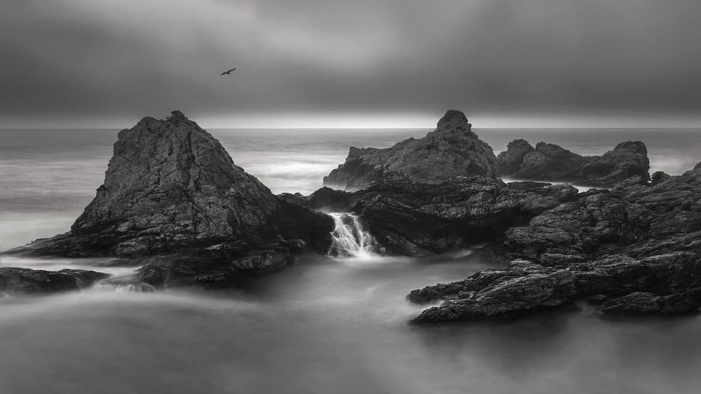 Ocean Rocks And Bird by Rong Shu — canvas wall art