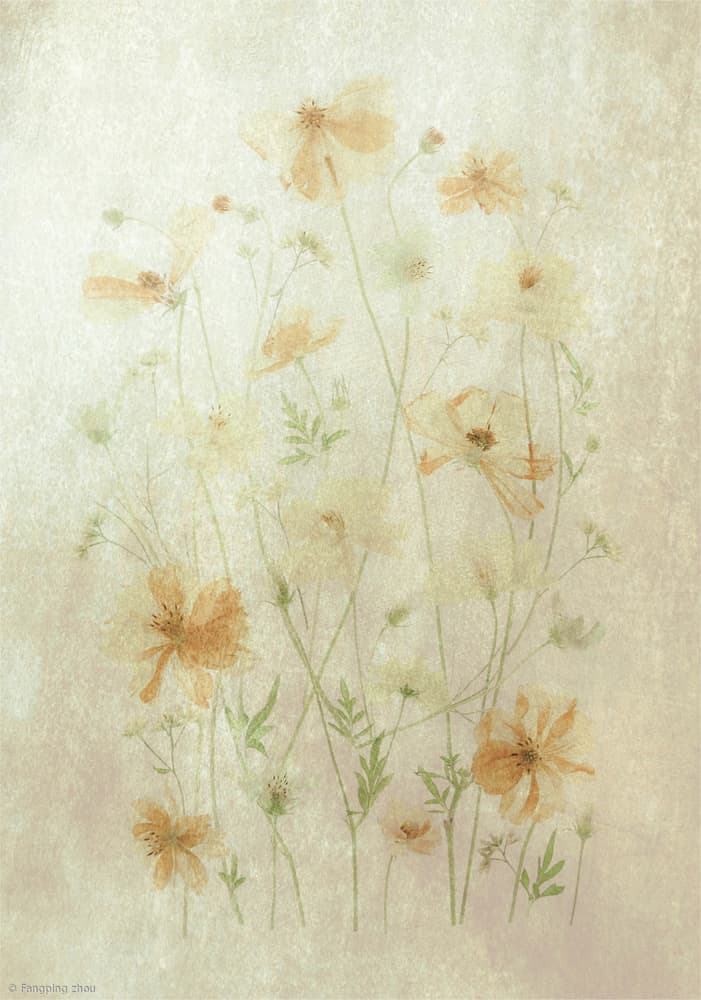 Faded Poppy Field by Fangping Zhou — canvas wall art