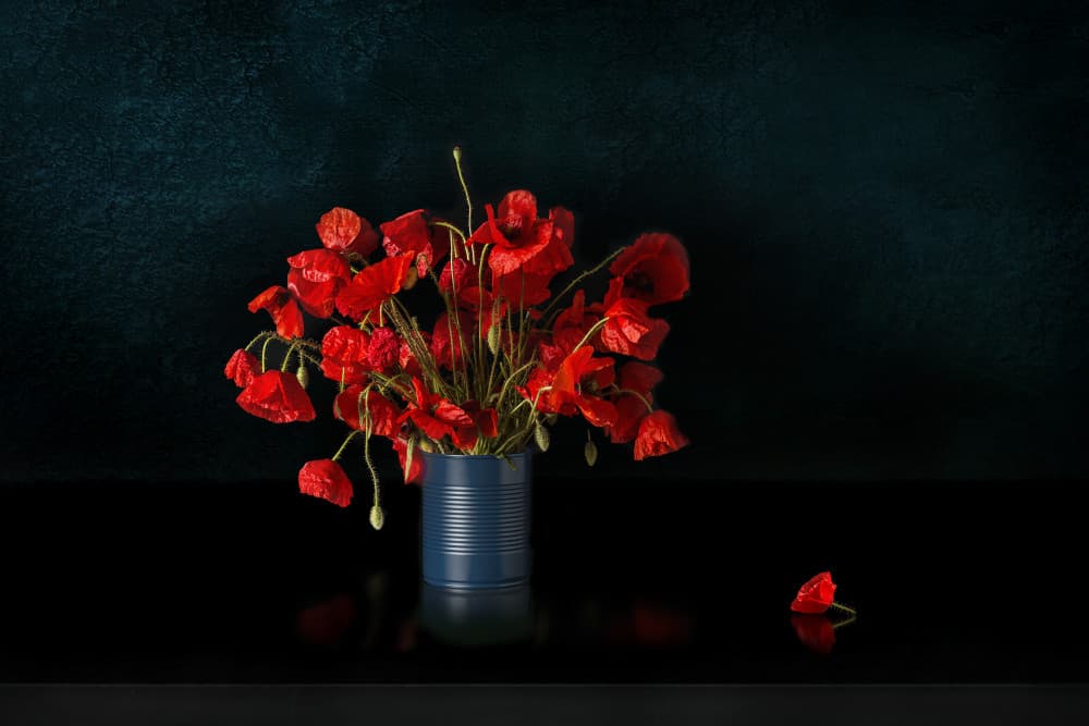 Dramatic Red Poppies by Juan Antonio Palacios — canvas wall art