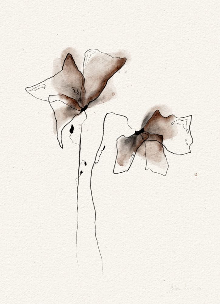 Watercolor Botanical Blooms