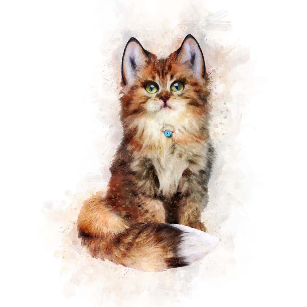 Fluffy Whiskers by Emel Tunaboylu — canvas wall art