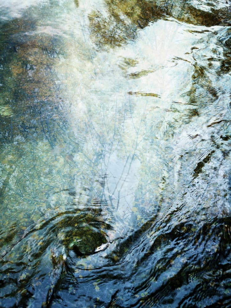 Liquid Forest (1) by Angelo Cerantola — canvas wall art