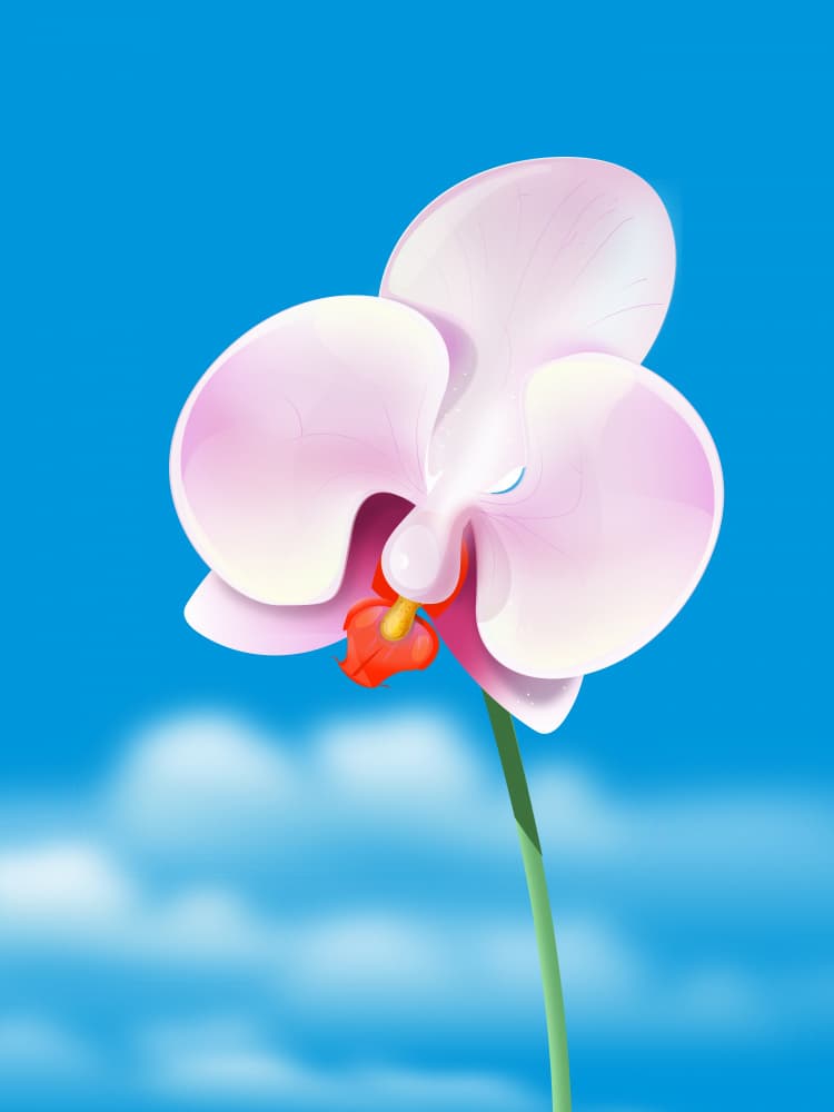 Pink Orchid Blue Sky by Nicholas — canvas wall art
