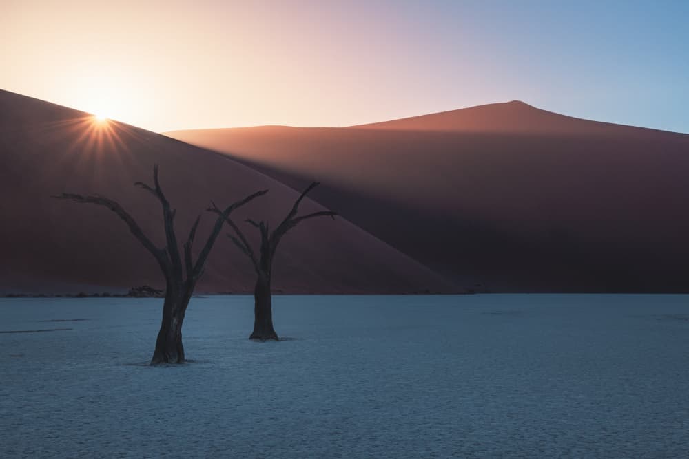 Desert Trees Sunrise by Jean Claude Castor — canvas wall art