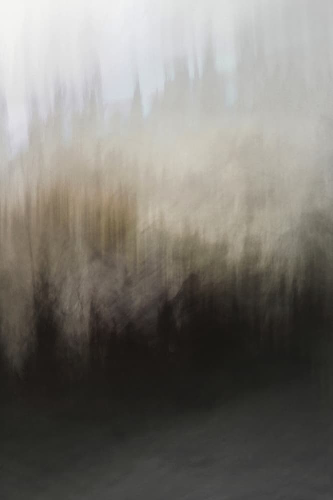 Abstract Forest Serenity by Christina Sillen — canvas wall art