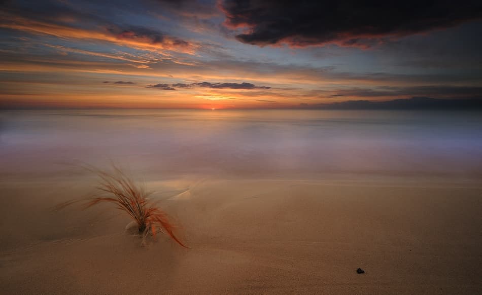 Tranquil Beach Sunset by paralaxa — canvas wall art