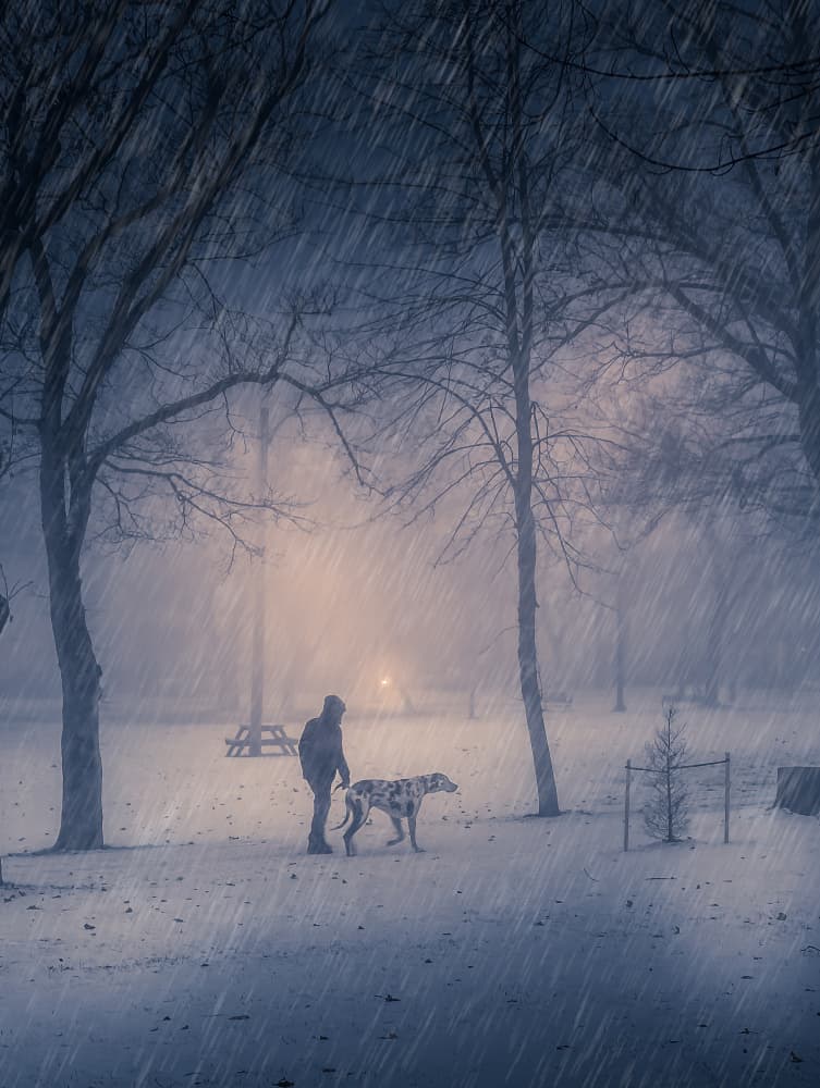 Misty Winter Dog Walk by Kimberly — canvas wall art
