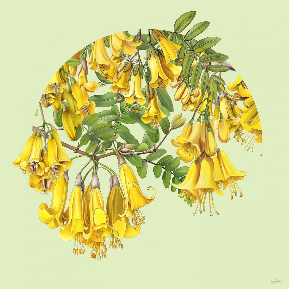 Golden Bell Flowers by Sue Skellern — canvas wall art